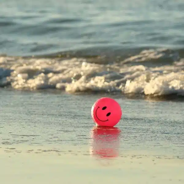 Does Money Buy Happiness?