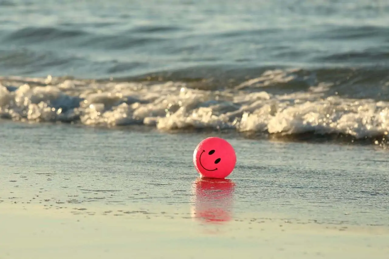 Does Money Buy Happiness?