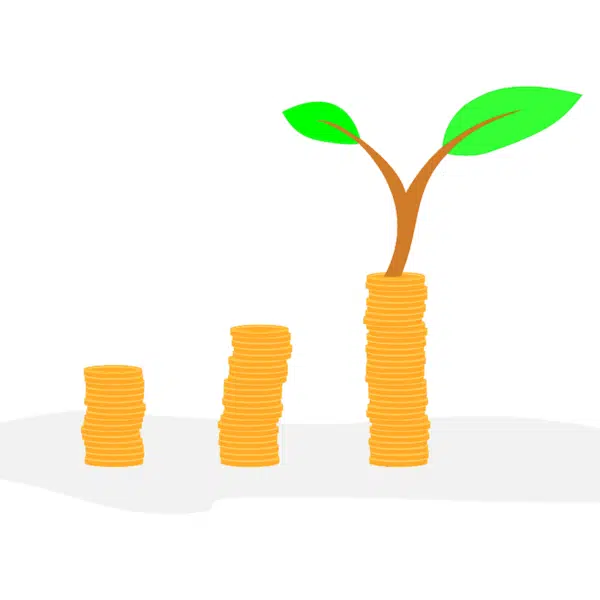 Three Fund Portfolio