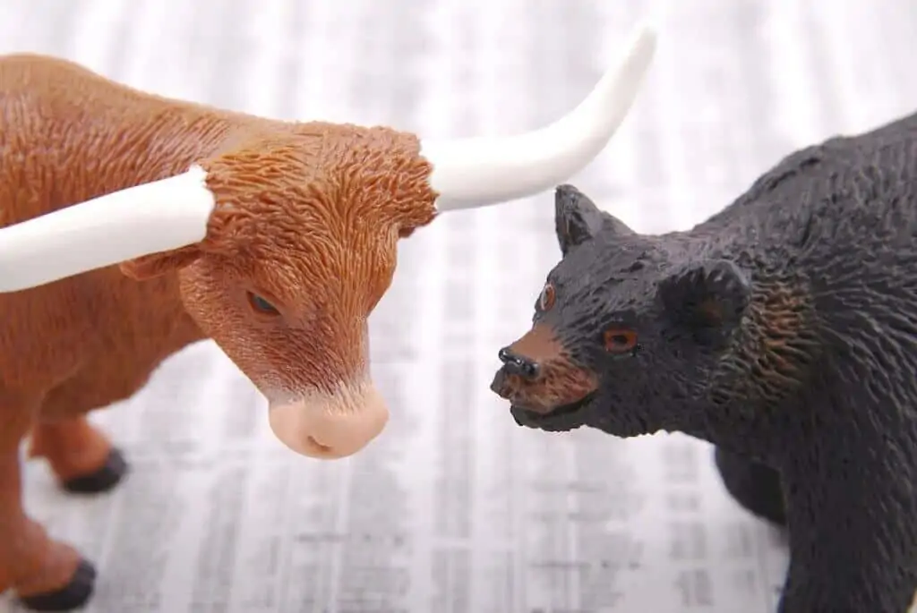 Bull Vs. Bear