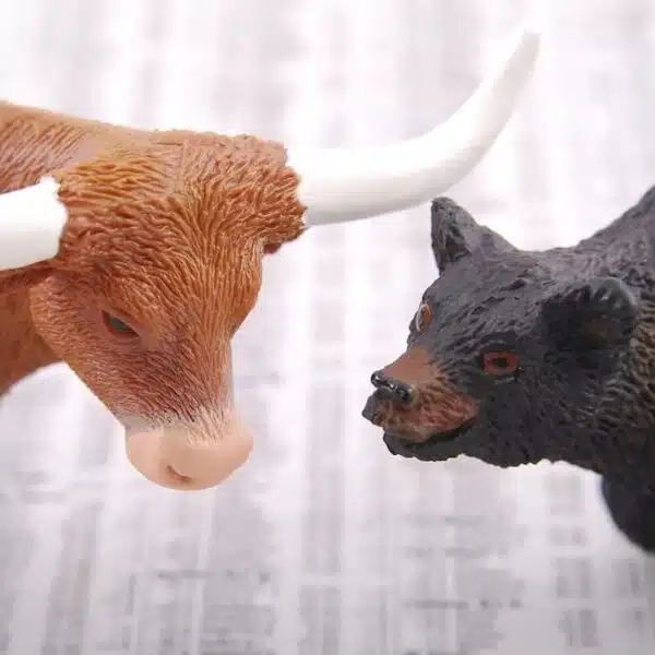 Bull Vs. Bear
