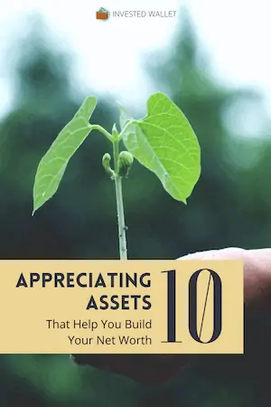 Appreciating Assets