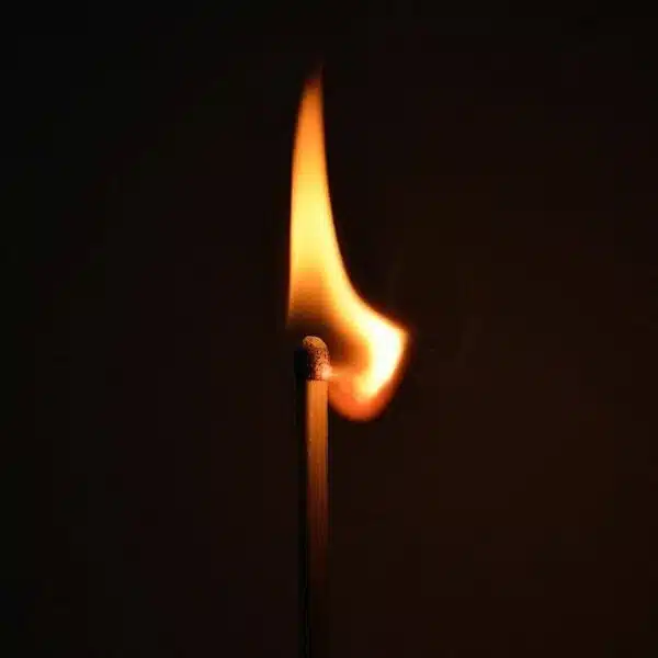 Lean FIRE