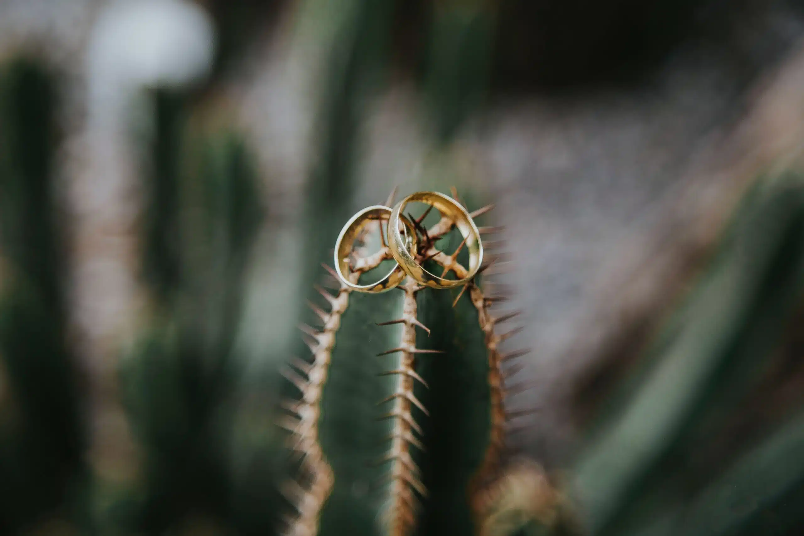 23 Ways to Honeymoon Without Emptying Your Wallet