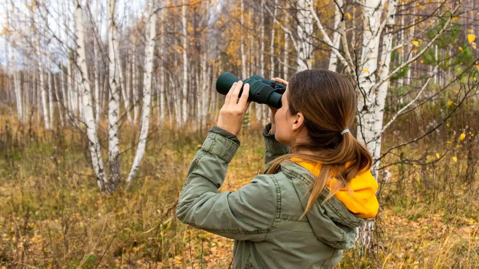 10 Surprisingly Good Hobbies That Are Completely Free To Start