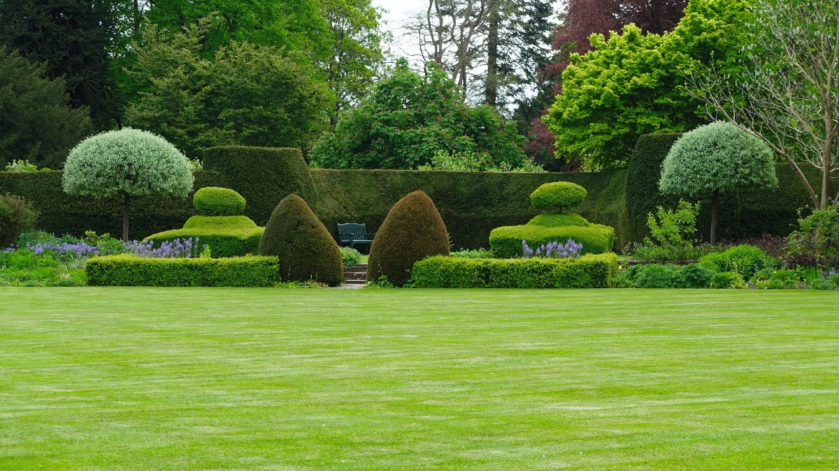 Low‑Cost Experiences People Can Enjoy Grow a Green Thumb