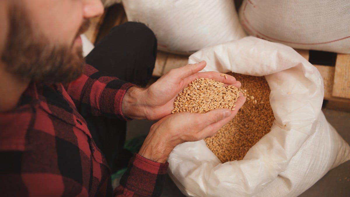 Expenses Making Hobbies Hard to Keep Up HomebrewingÂ