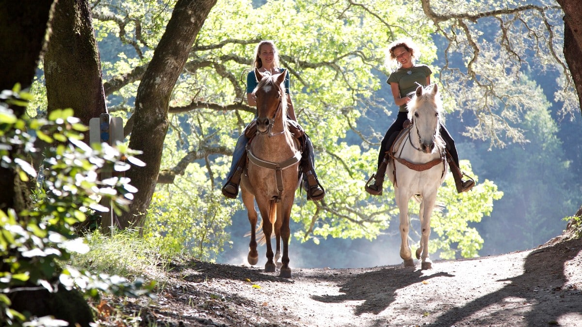 How Rising Costs Limit Kids’ Opportunities Horseback Riding
