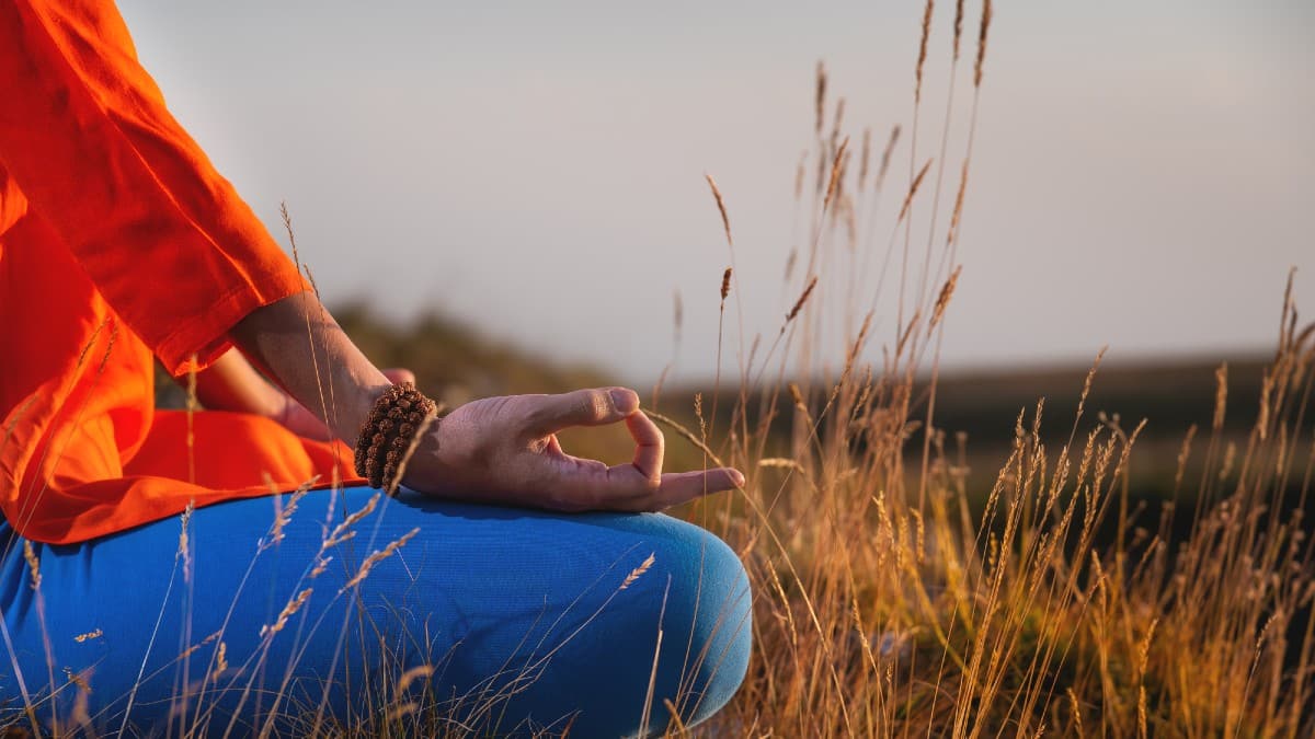 Voice Skills That Can Turn Into Real Income The Voice of Calm