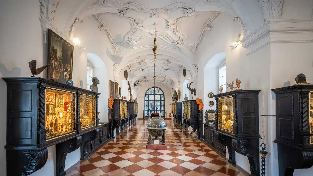 15 Innovative Ways to Make a Living Using Your Voice The Voice of History