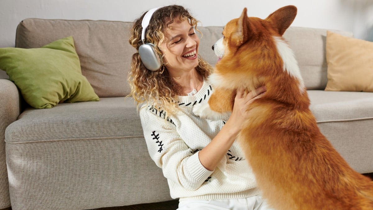 15 Rare Jobs That Value Deep Expertise Curly woman in wireless headphones playing with cute corgi dog