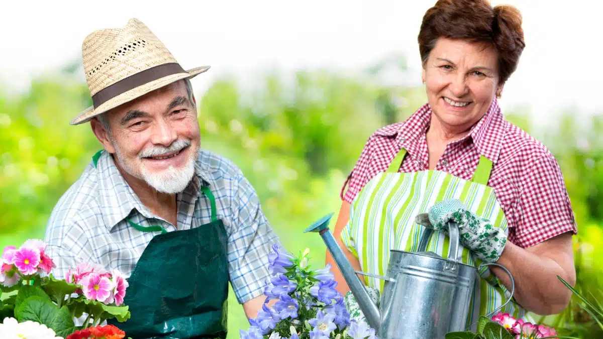 senior couple doing gardening