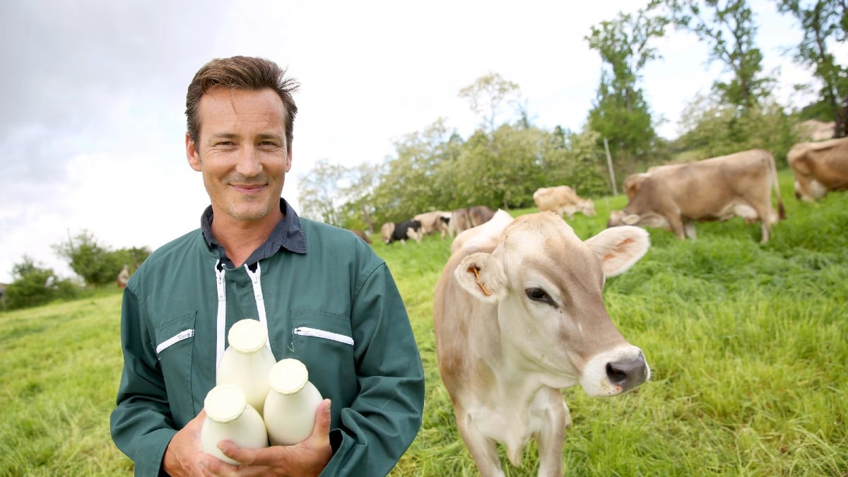 15 Ways to Turn Your Local Knowledge Into a $5,000-a-Month Tour Planning Business Dairy-Farmer-