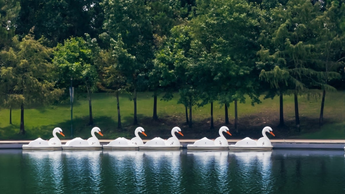 Best Budget‑Friendly Cities for New Buyers he Woodlands, Texas