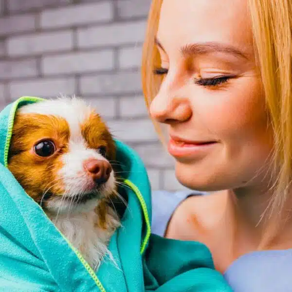 woman pet dog