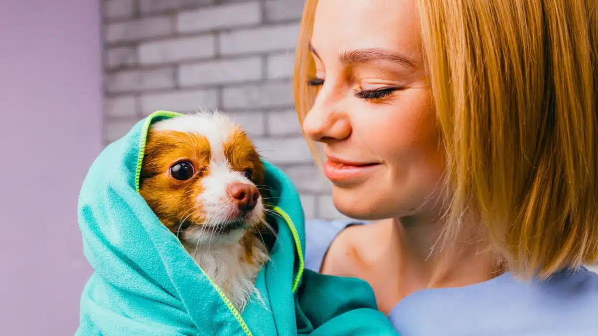 woman pet dog