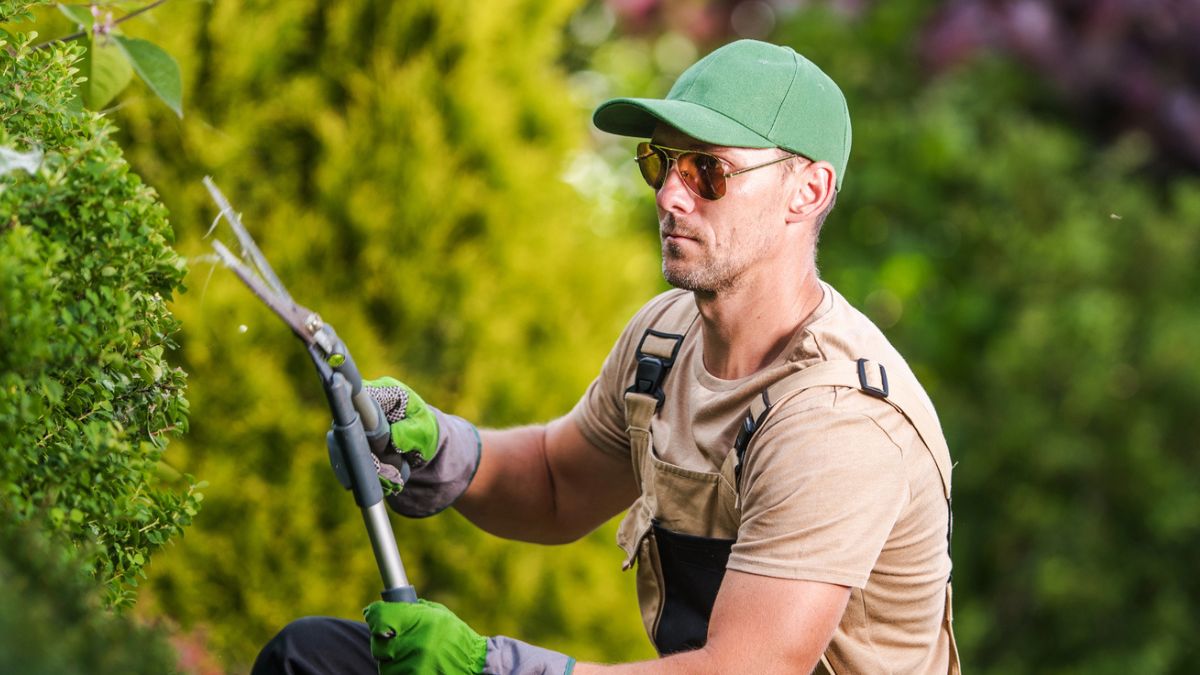 man cutting the bushes