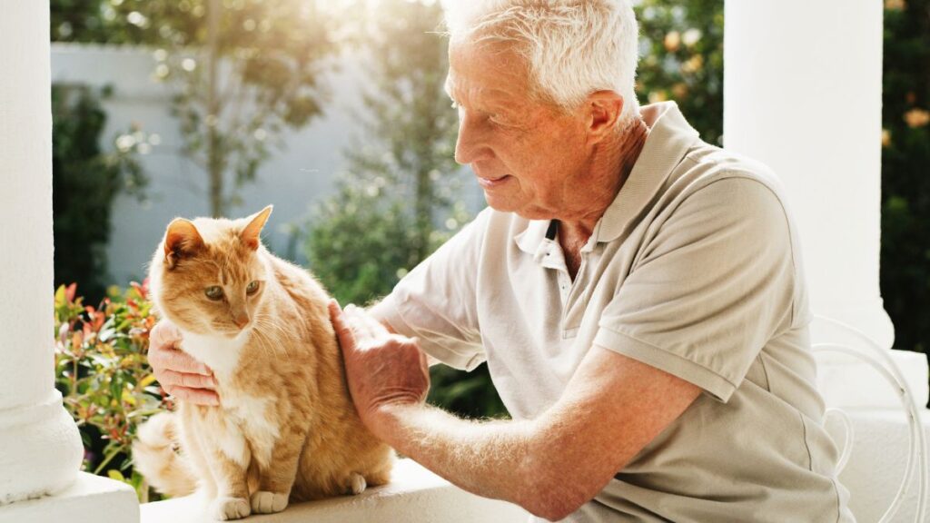 13 Daily Habits Borrowed From Genuinely Happy Retirees They Do Something That Makes Them Feel Useful