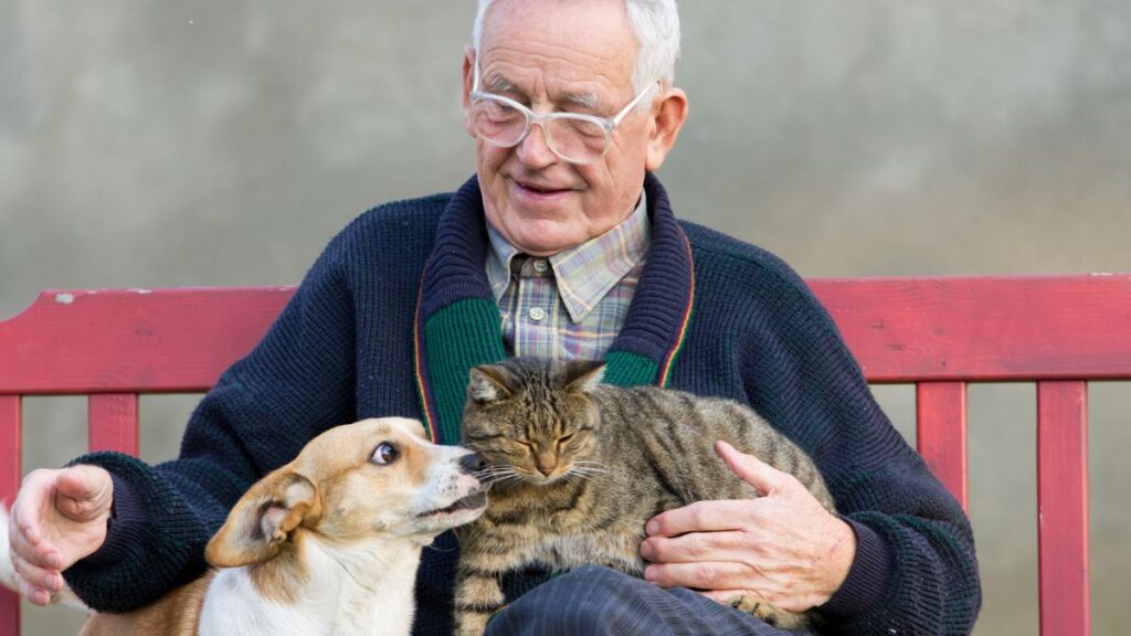 Turn a Hobby Into Income: 14 Ideas That Suit Retirees Pet Sitting
