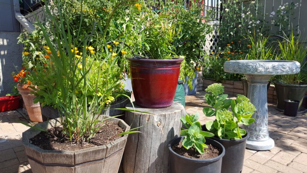 Gardening in Retirement: 12 Easy Ideas for Smaller Spaces Small-Space Gardening