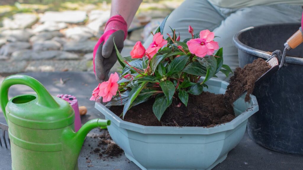 Gardening in Retirement: 12 Easy Ideas for Smaller Spaces Start With Three Simple Patio Containers
