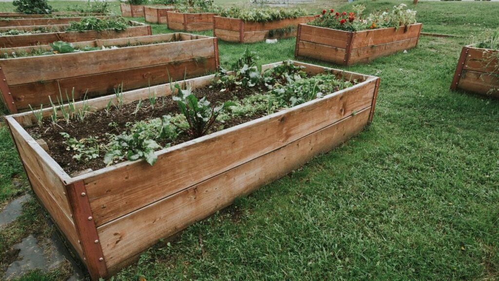 Gardening in Retirement: 12 Easy Ideas for Smaller Spaces Choose Elevated Raised Beds
