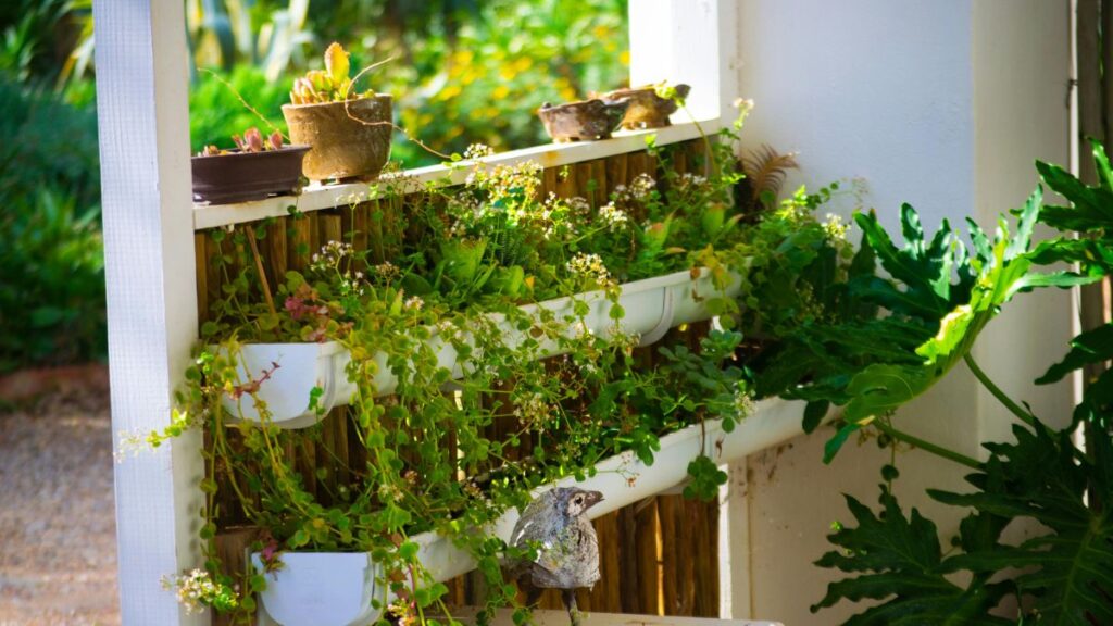 Gardening in Retirement: 12 Easy Ideas for Smaller Spaces Vertical Gardening