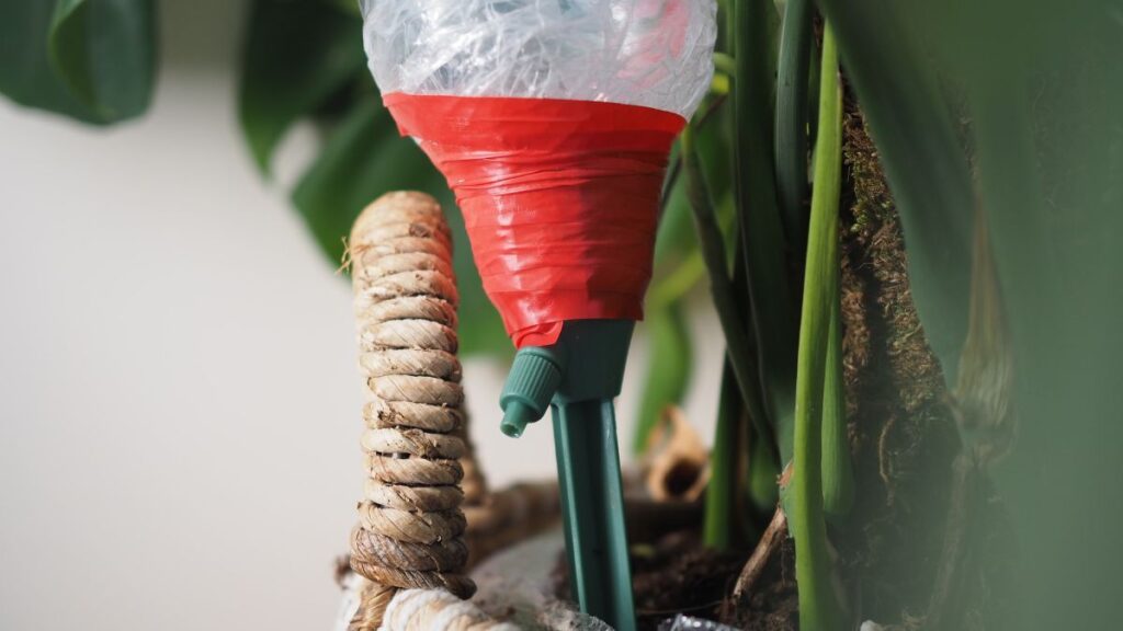 Gardening in Retirement: 12 Easy Ideas for Smaller Spaces Try Self-Watering Planters for Less Daily Work