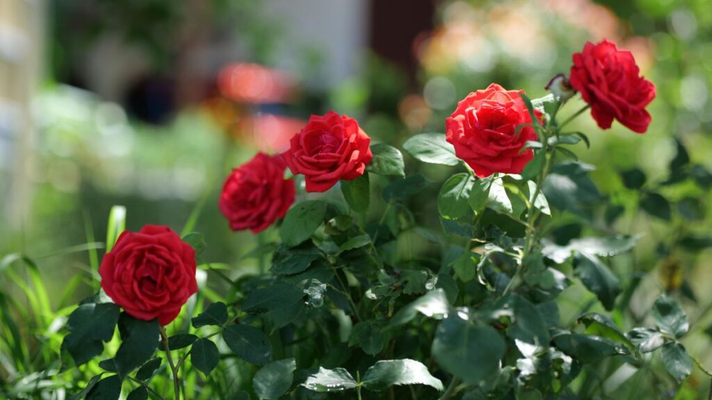 Gardening in Retirement: 12 Easy Ideas for Smaller Spaces Build a Fragrant Garden Around Your Favorite Chair