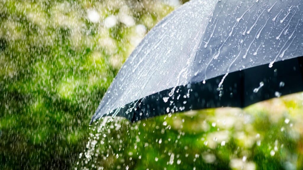 15 Government Benefits for Older Adults That Often Go Unclaimed Weatherization