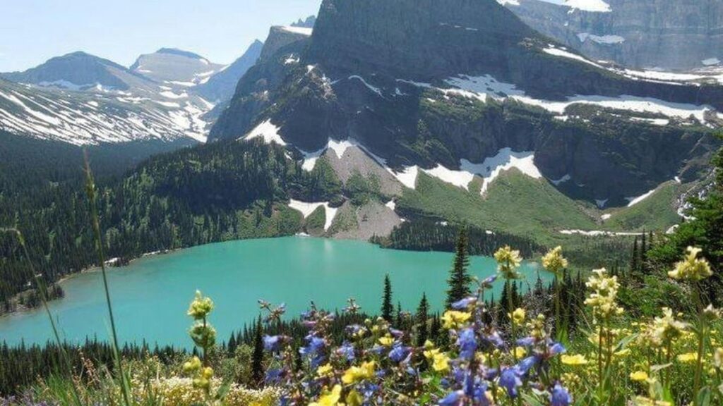 The National Park Senior Pass: What It Covers and How to Get One What the National Park Senior Pass Does Not Cover