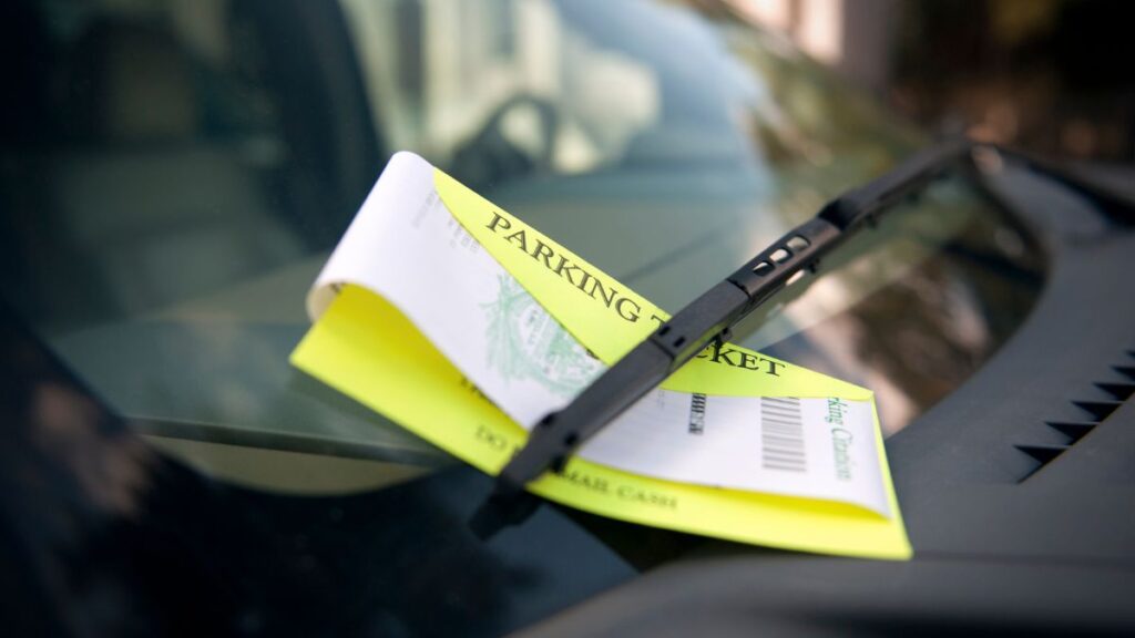 The National Park Senior Pass: What It Covers and How to Get One Is the $80 Lifetime Senior Pass Worth Buying?