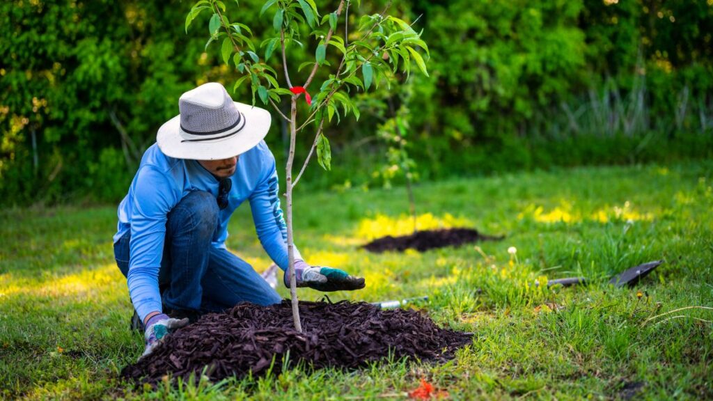 13 Daily Routines That Help Older Adults Thrive on Their Own Make Movement Part of Ordinary Daily Life