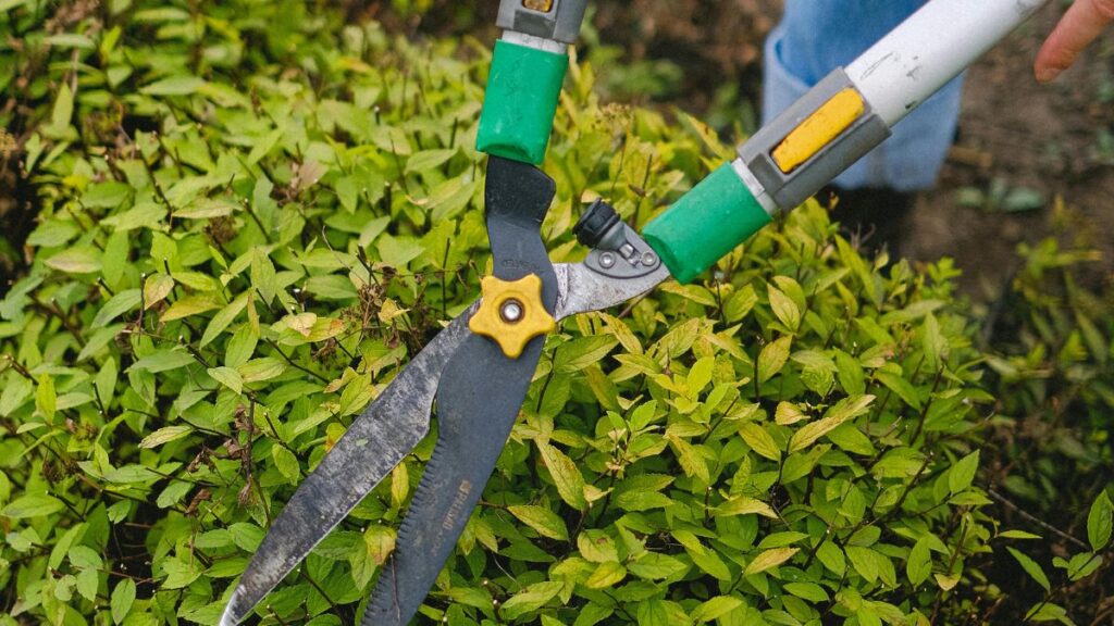 Low-Cost Ways to Make Your Home More Secure When You Live Alone Trim Bushes