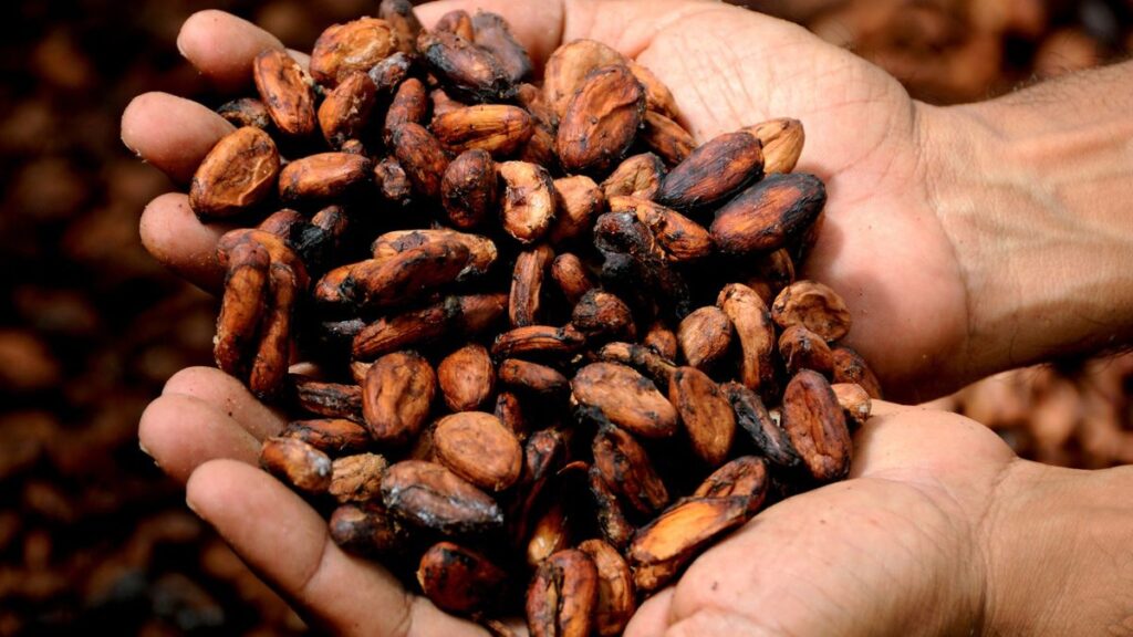 9 Foods a 108-Year-Old Has Enjoyed for Decades Unsweetened Cacao